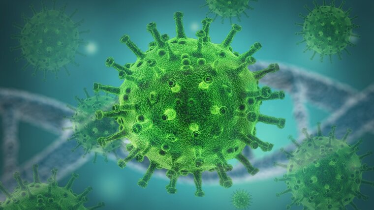 Virus